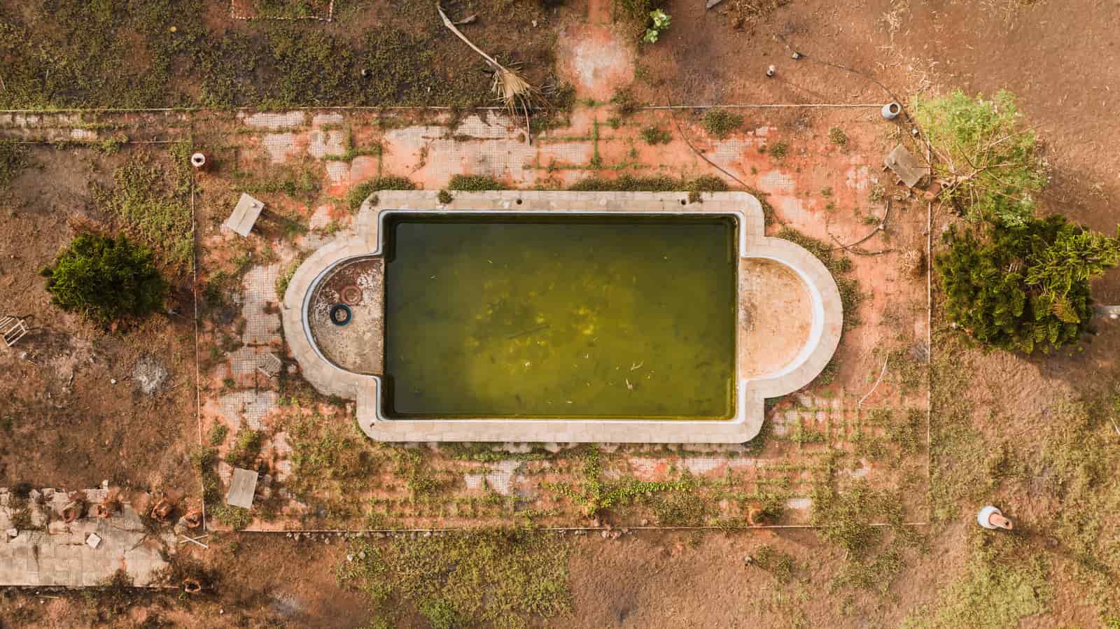 A swimming pool with green algae-colored water and a visible waterline